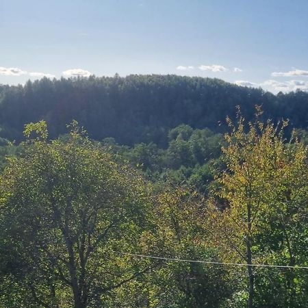 Noclegi U Ewusi Januszowice  Exterior foto